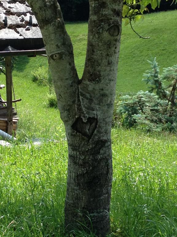 Casa Mia Villa Egg Rom bilde